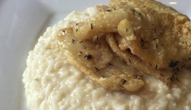 Come Preparare La Tavolazza Di Riso Risotto Us Il Portale Del Riso