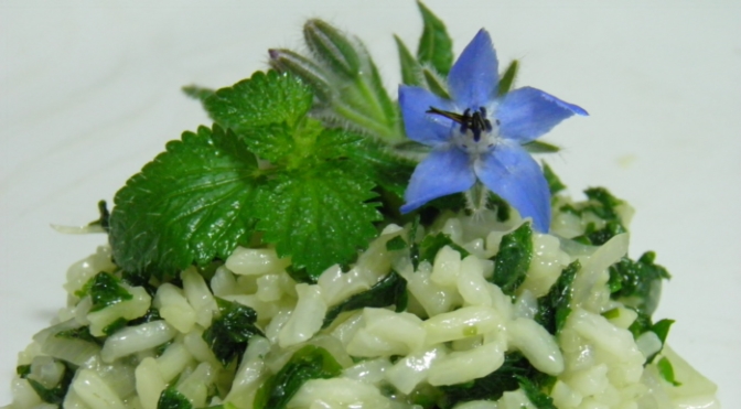 Risotto con borragine