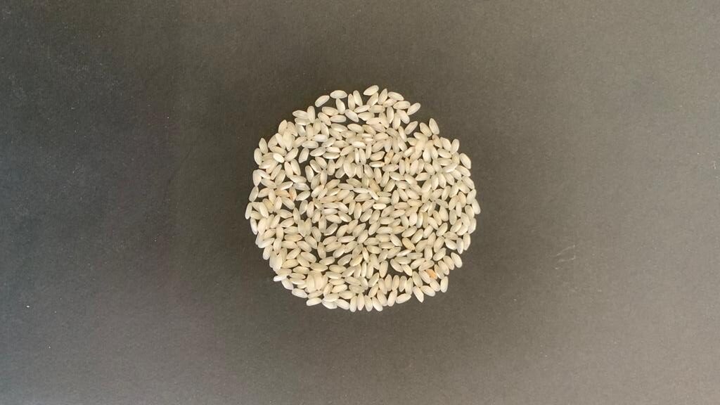 CARNAROLI RISOTTO Ricettario di ricette di riso italiano