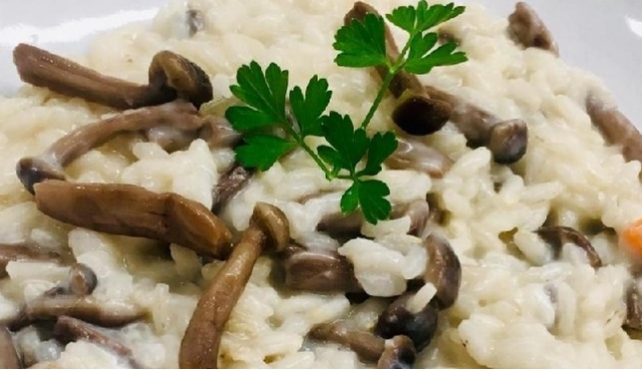 Risotto con i funghi chiodini: come farlo : Risotto.us ...
