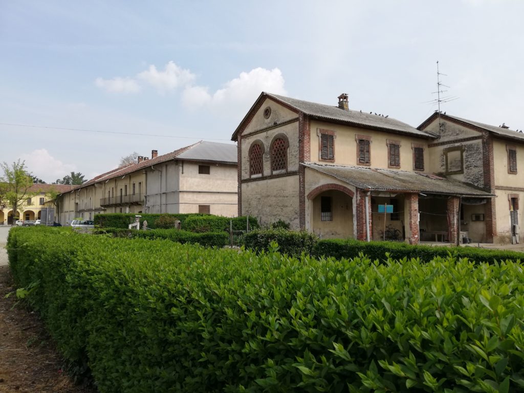 Ricexperience: la Cascina Graziosa oggi