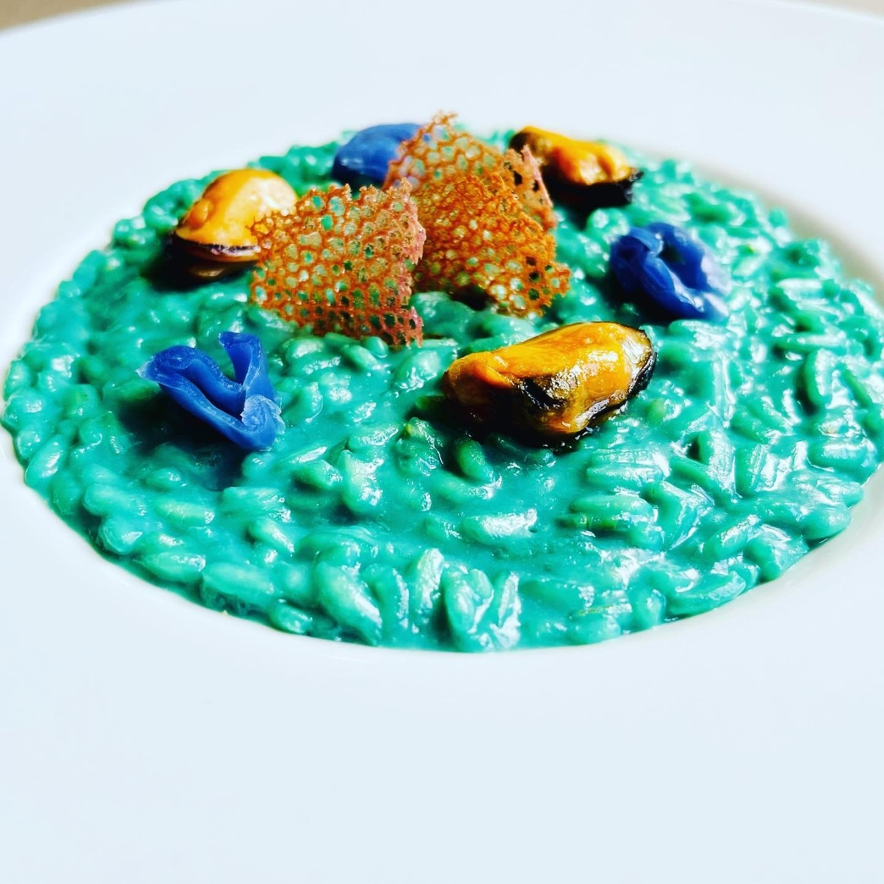 risotto con cozze e cavolo viola