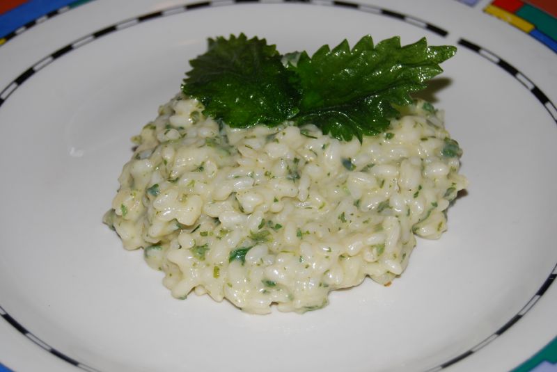 risotto con ortiche